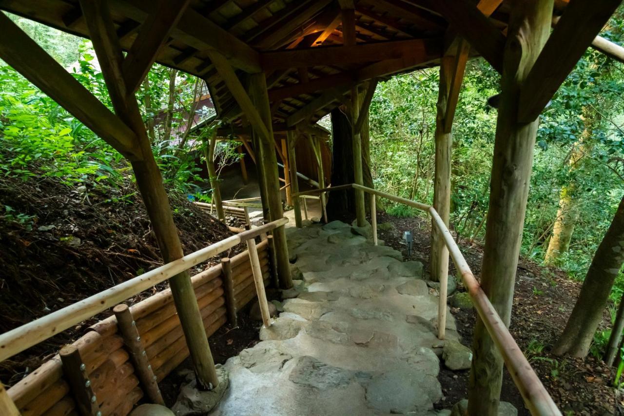 Yamanaka Onsen Hanatsubaki Ryokan